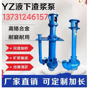 液下渣浆泵YZ立式耐磨泥浆泵池塘河底清淤污泥机抽沙吸砂泵可加长
