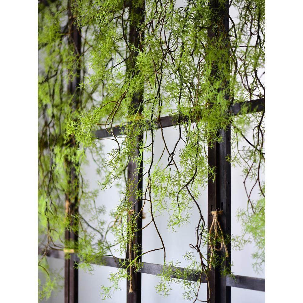 彷真黑骨芒绿植藤条草空调管道缠绕水景景观鱼缸水草植物塑料吊顶,鲜花速递/花卉仿真/绿植园艺,仿真绿植,淘宝优惠券,粉丝福利购,淘宝优惠卷