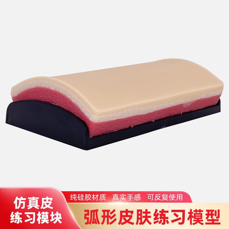 彷真皮肤缝合练习模型 弧形肌肉外科缝合训练模组