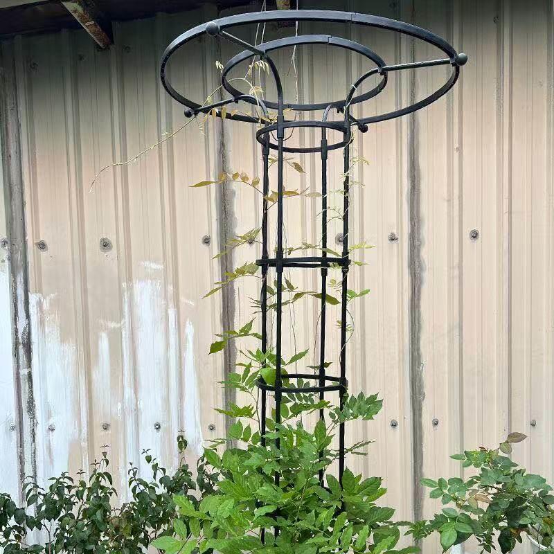 花架爬藤架铁线莲月季植物支撑杆庭院室内花盆植物攀爬架爬藤支架