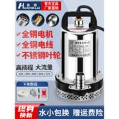 电池直流潜水泵48V60V12V24V小型高扬程水泵农用灌溉电动汽车水泵
