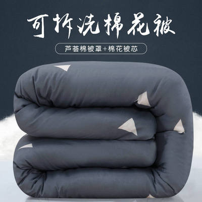 秋天垫背被子宿舍床上铺的垫被y子棉被带被套冬被加厚保暖可拆洗
