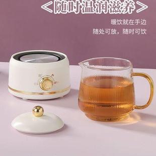 映见养生壶mini家用多功能烧水壶电炖盅小型办公室煮花茶壶烧水杯