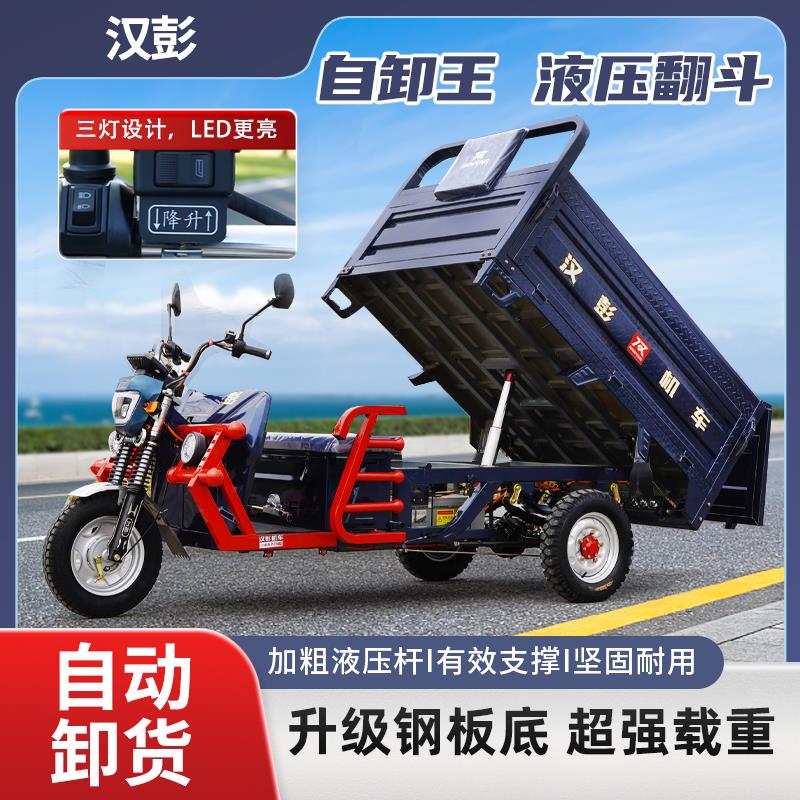电动三轮车拉货新款载重王国标家用大功率货车农用加高三轮电瓶车