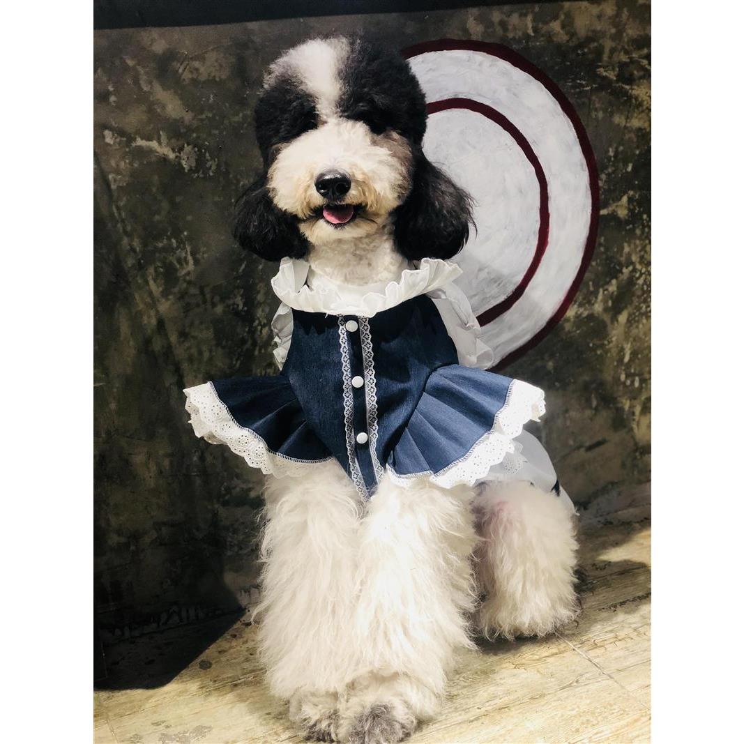 吉多熊家包邮大型犬小型犬牛仔公主连衣裙宠物狗衣服金毛巨贵萨摩