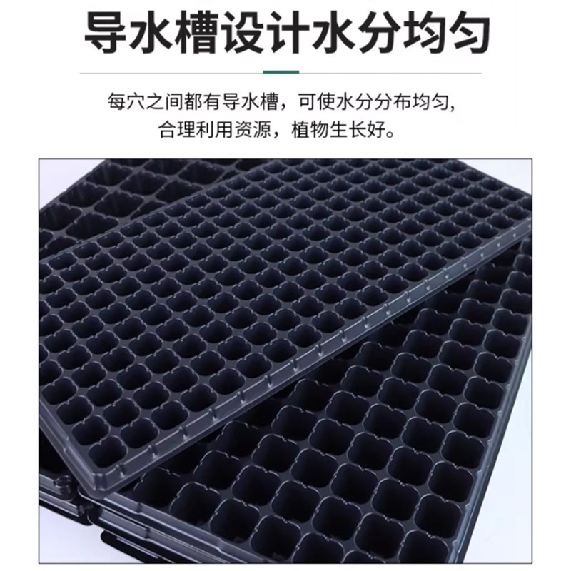 育苗盘托盘加厚穴盘西瓜玉米辣椒西红柿蔬菜幼苗培育杯扦插塑料盆