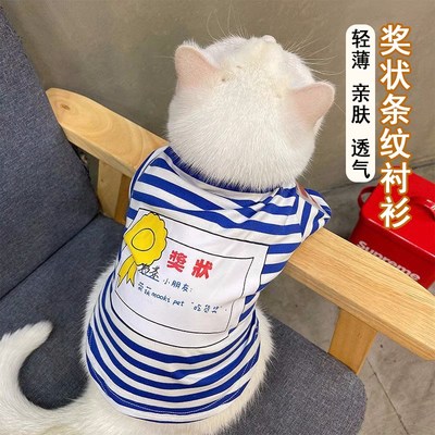 猫咪衣服薄款防掉毛春秋美短金渐层E公猫帅气夏季卫衣幼猫网红可