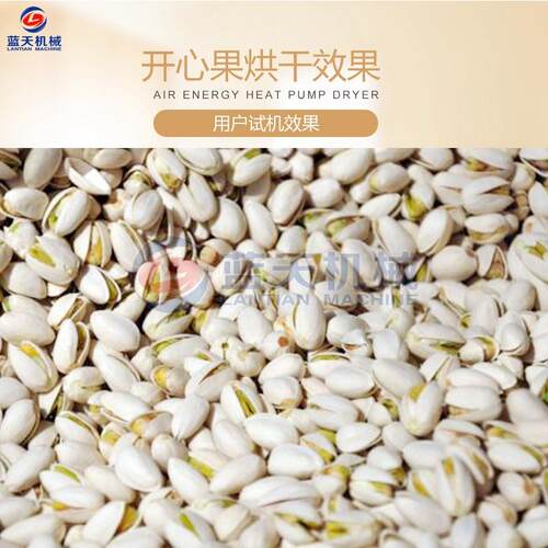坚烘干机小型坚小果LT-XXJGH烘干机型食果品烘干机控热风温循环烘