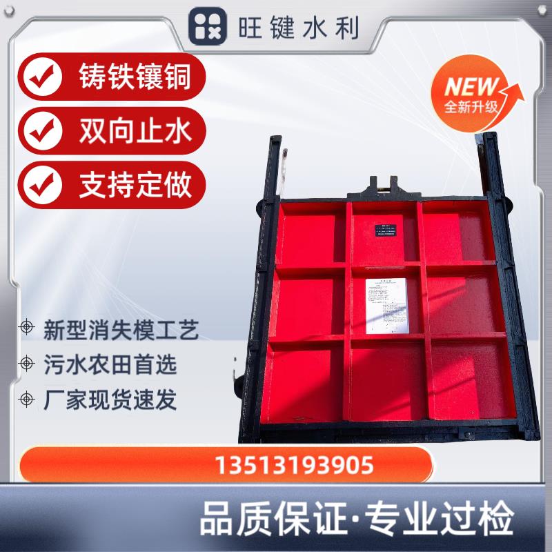 铸铁镶铜闸门螺杆启闭机泵站钢闸门格栅清污机渠道不锈钢一体闸门