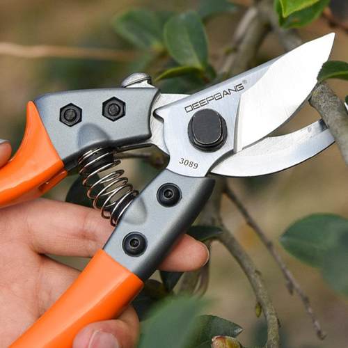 进口园艺剪刀园林修枝剪果树剪枝树枝省力强力大修剪修花剪子神器