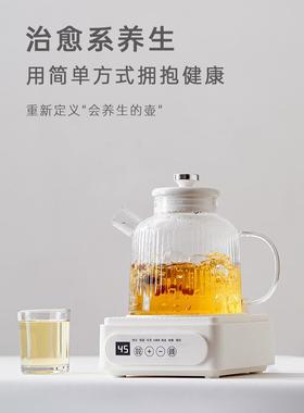 EIT养生壶办公室小型全自动加厚玻璃保温家用多功能煮茶器烧水壶
