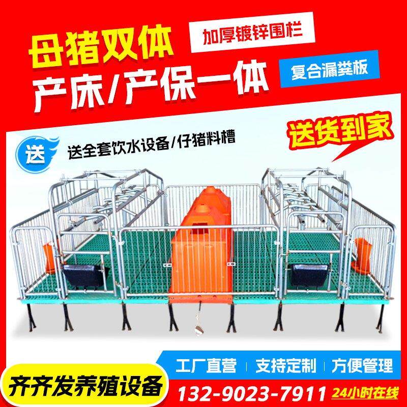 双体母猪产床保育床一体产保两用床养殖设备猪用单体产保分娩床
