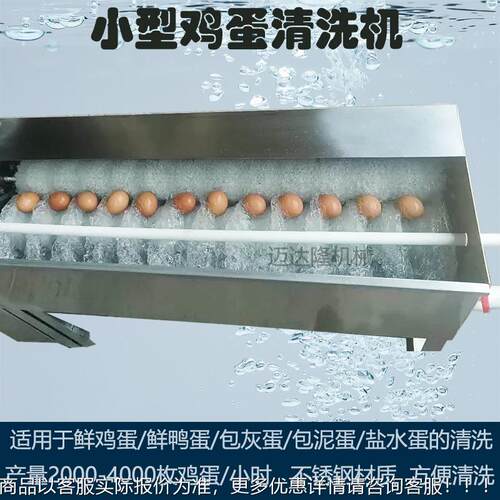 商用型小刷蛋洗蛋机IEK家直销价优惠性价比格高电动洗蛋厂神器