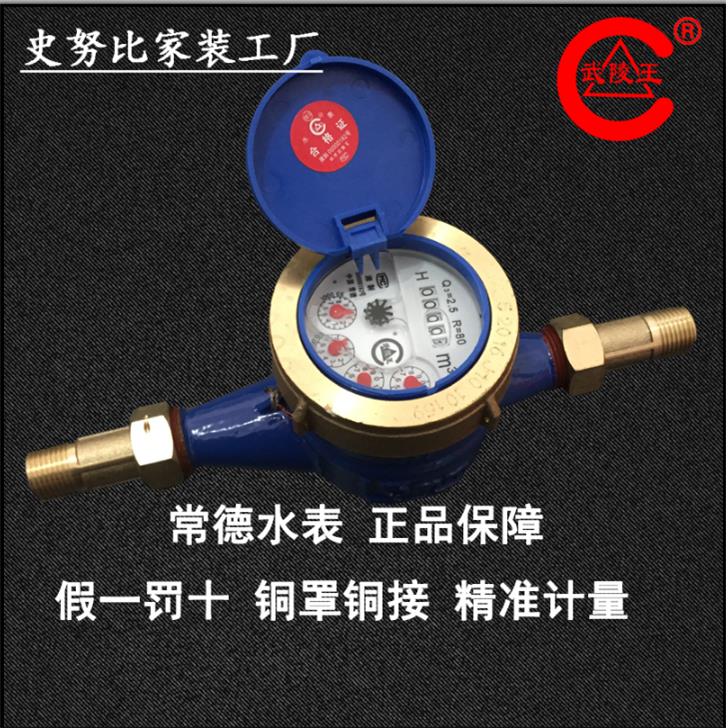 常德武陵王水表家用自来水旋翼式出租房防滴水表高灵敏水表4,6分