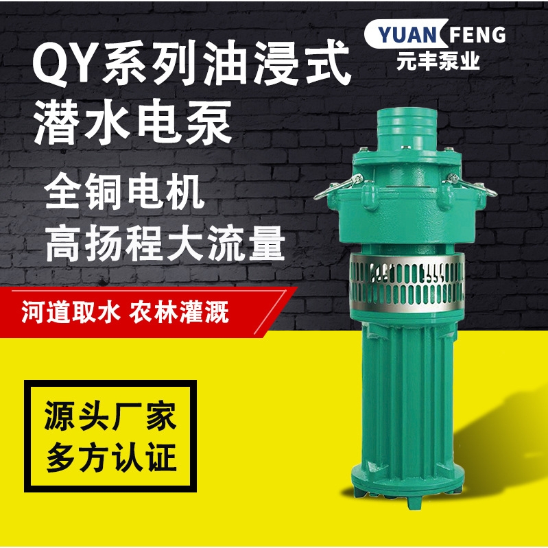 定制款QD铸铁立式潜水泵三相电农用灌溉水泵家用油浸式潜水电泵