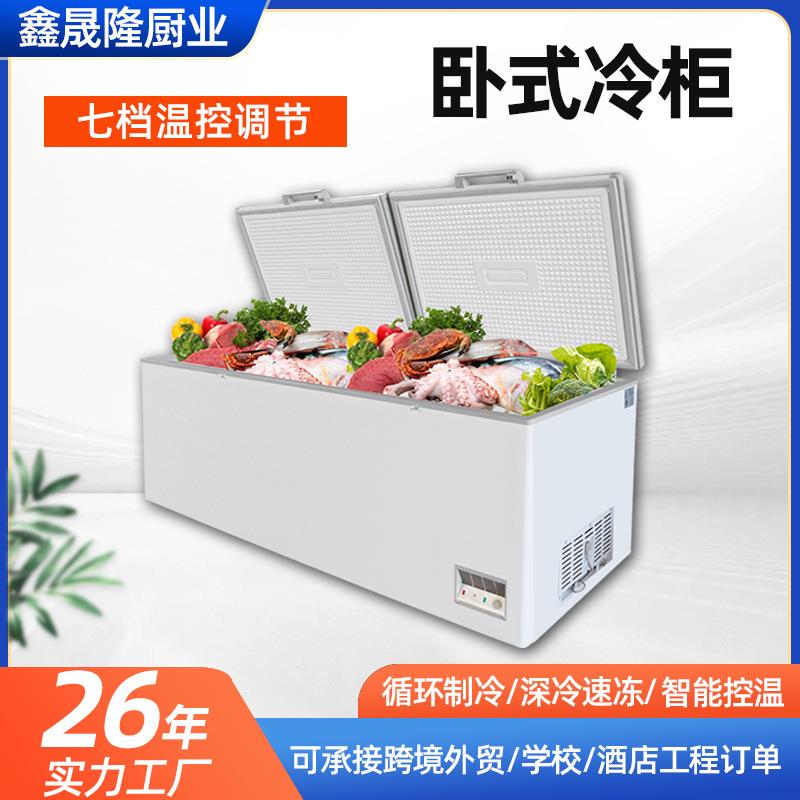 商用冰柜 牛肉冷藏冷冻柜雪糕肉类冰箱展示柜 保鲜双温速冻柜冷柜