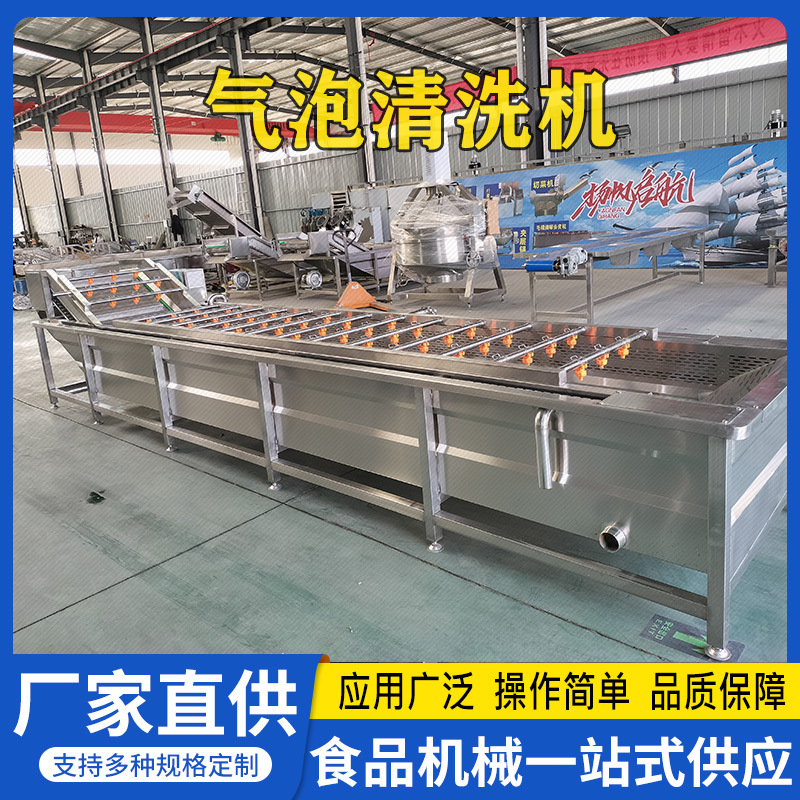 全自动洗菜机酸菜清洗脱盐设备竹荪菇羊肚菌高压喷淋气泡清洗机