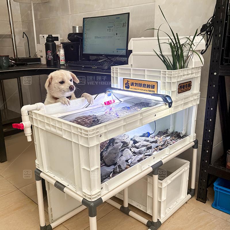 嘿匣子大龟周转箱龟缸乌龟缸可视养龟专用饲养缸大尺寸生态周转箱