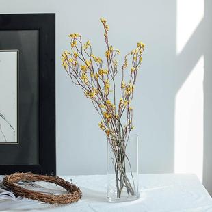 澳洲进口天然袋鼠爪干花日系北欧永生花干枝花束软装摆设客厅装饰