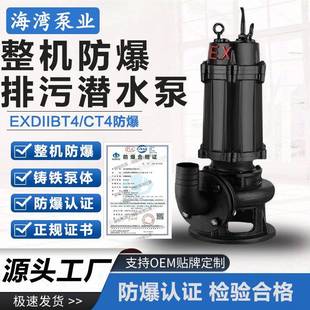 CT4隔爆型加油站LNG站集水池排污水泵 WQB正宗防爆潜水泵EXDIIBT4