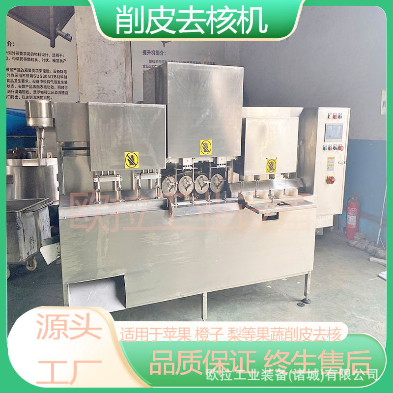 芒果削皮去核设备全自动去核加工生产线商用带核水果去皮去核机