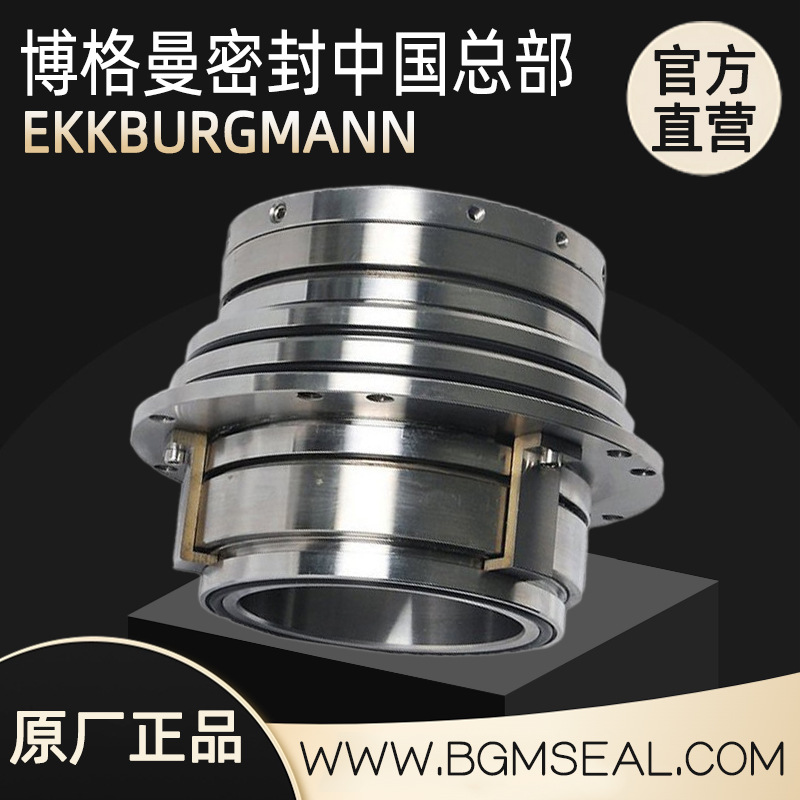 武汉博格曼SAF-110-QREG机械密封厂家 不锈钢2205/碳化硅压力筛