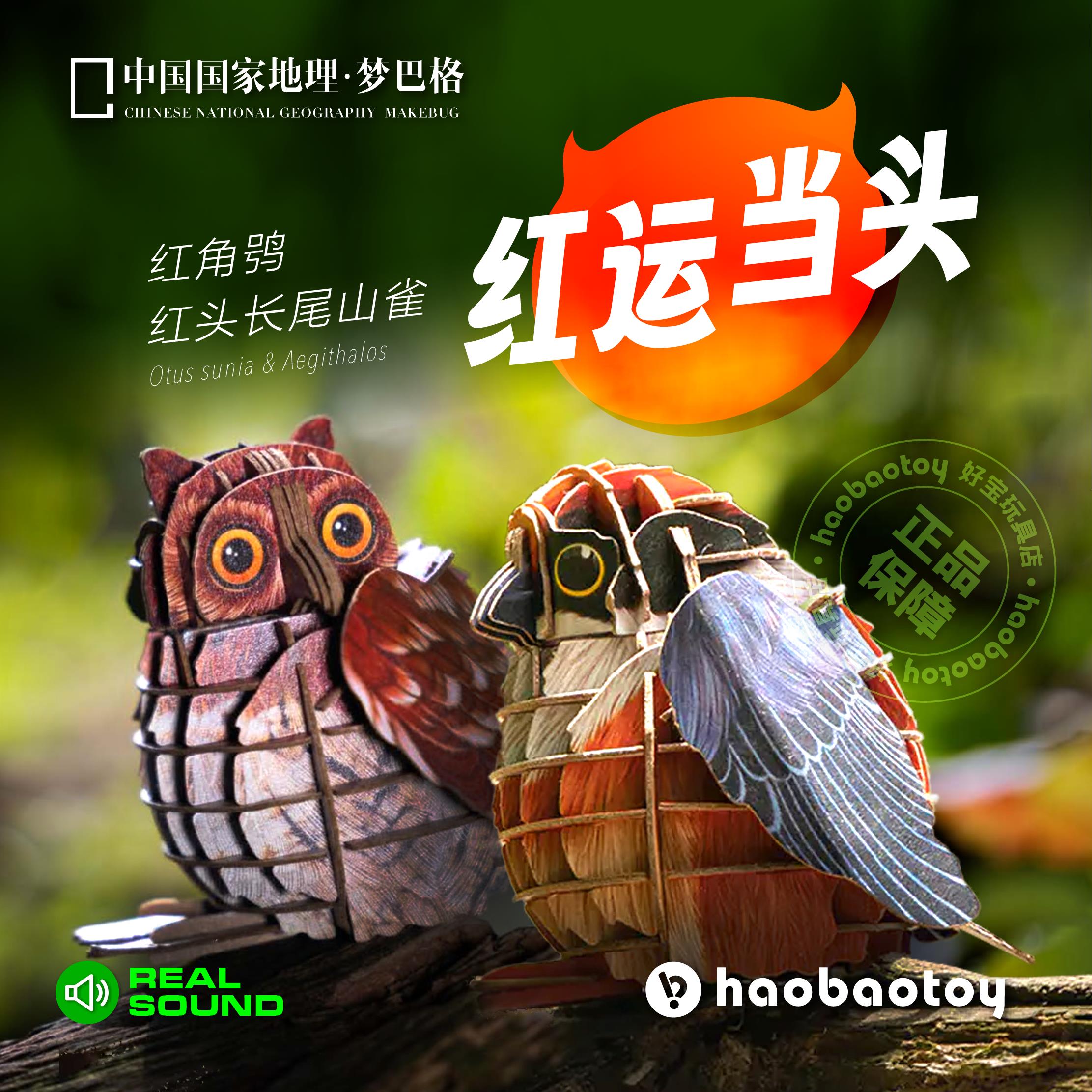 中国国家地理梦巴格纸模型小鸟3D立体拼图插装为自然发声真实鸣叫