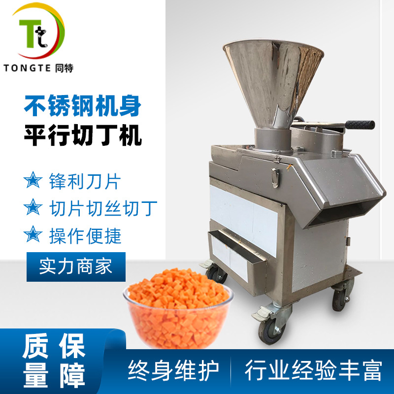 木瓜菠萝切片机 土豆胡萝卜青瓜切丁切丝机 商用大型平行切瓜果机