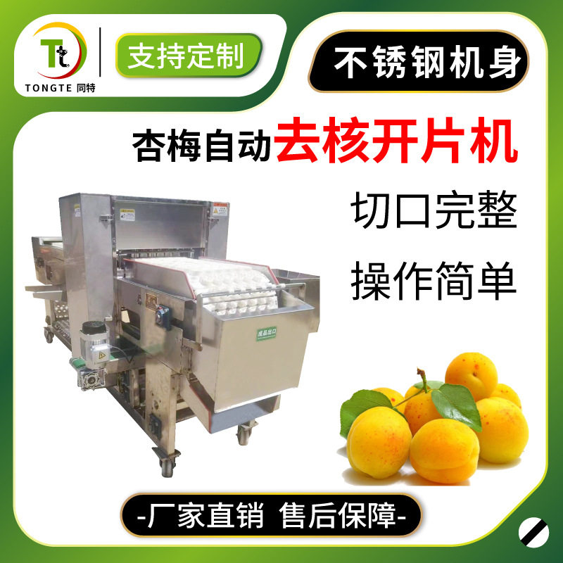 工厂直销 去核机 全自动杏梅取核分瓣机李子去芯切瓣一体机