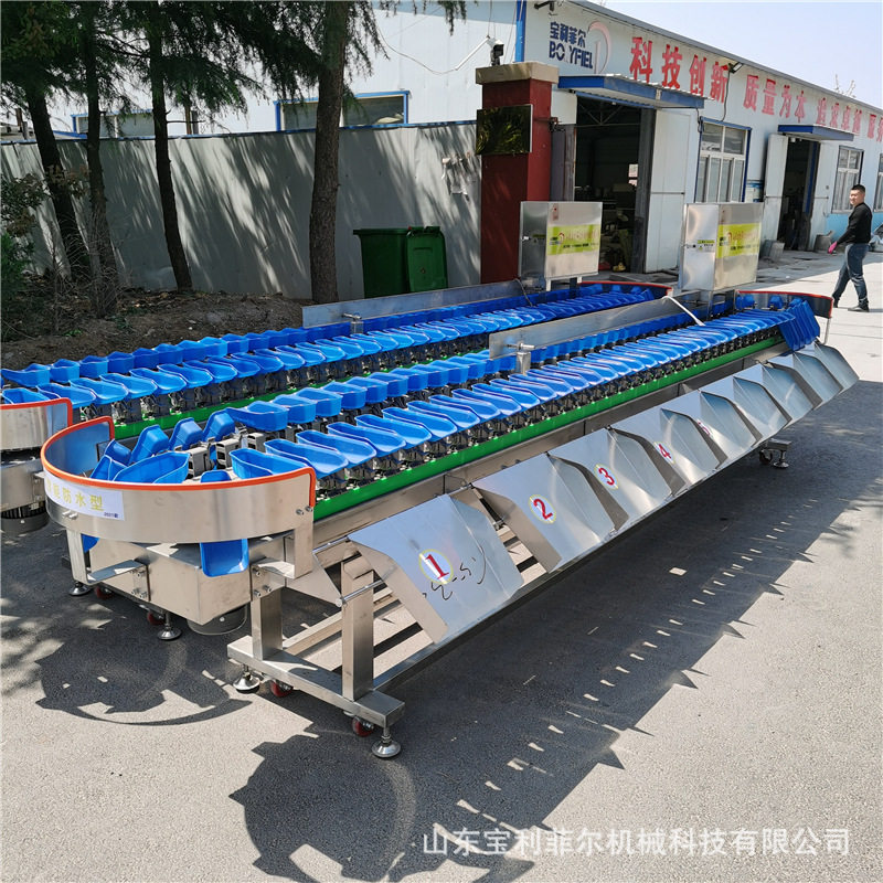 人参分拣机 地鱼分选机重量白条鸡分级机称重流水线 猪蹄子选别机