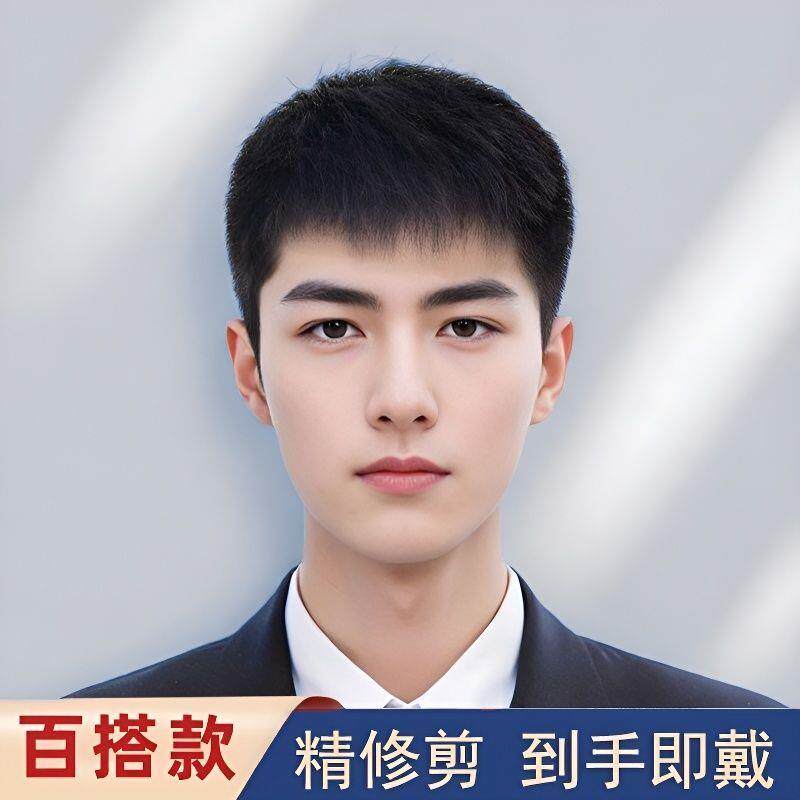 假发男短发真发全头套式男士毛寸假发头套时尚自然蓬松透气逼真
