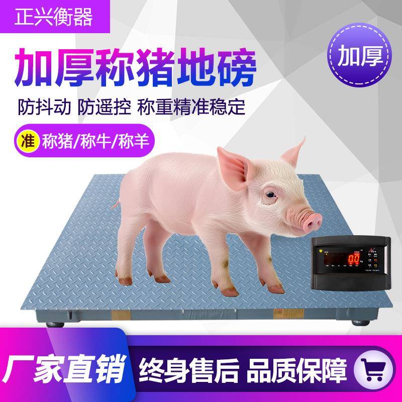 正兴SY系列小型地磅秤1T2T3T养殖场防遥控磅秤带围栏可定制推荐