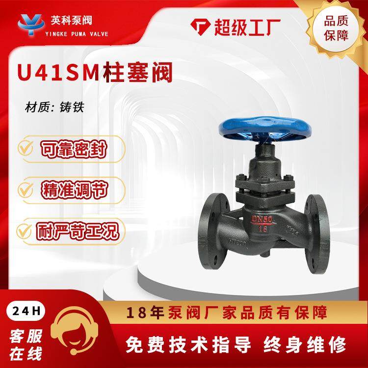 柱塞阀U41SM-16手动铸钢铸铁HT200法兰锅炉蒸汽阀门法兰柱塞阀