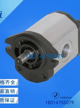 Boden齿轮泵BKP1Q0S0.8/1.1/1.6/2.1/2.7/3.2/4.8/5.8/7/8G0L1-B