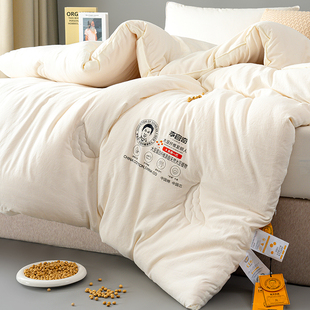 李官奇大豆被春秋被子冬被棉被被芯150x200x230cm四季通用双人180