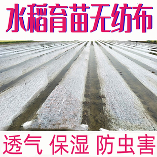 水稻育秧布农用无纺布花草树育苗抗老化土工布薄膜地膜透气懒汉膜