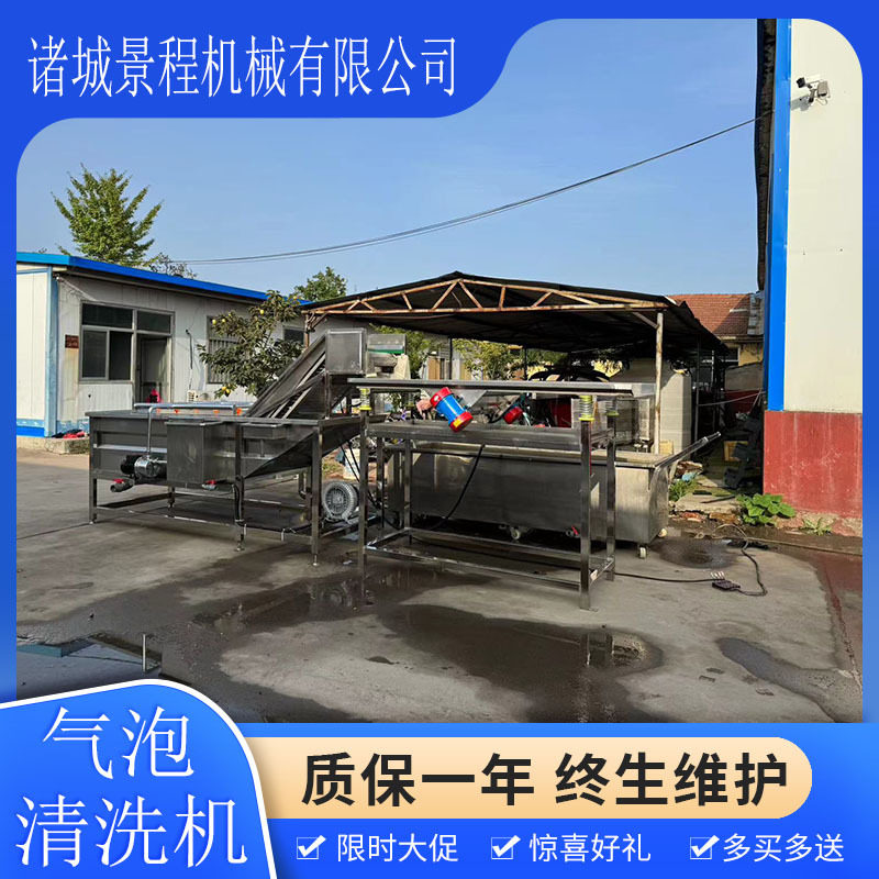 朝天椒喷淋清洗去杂机辣椒气泡清洗机4000型橄榄叶净菜清洗设备