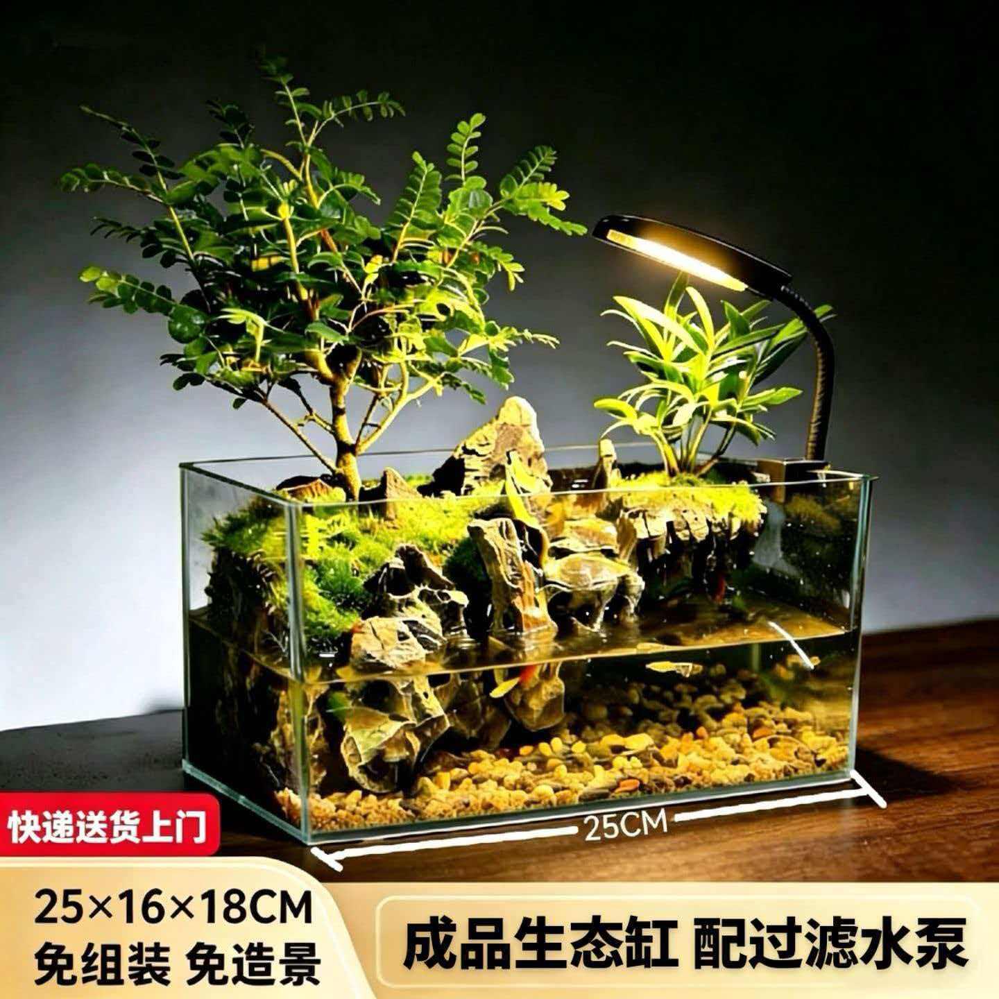 微景观成品生态缸桌面流水造景缸办公室客厅微景观摆件免打理