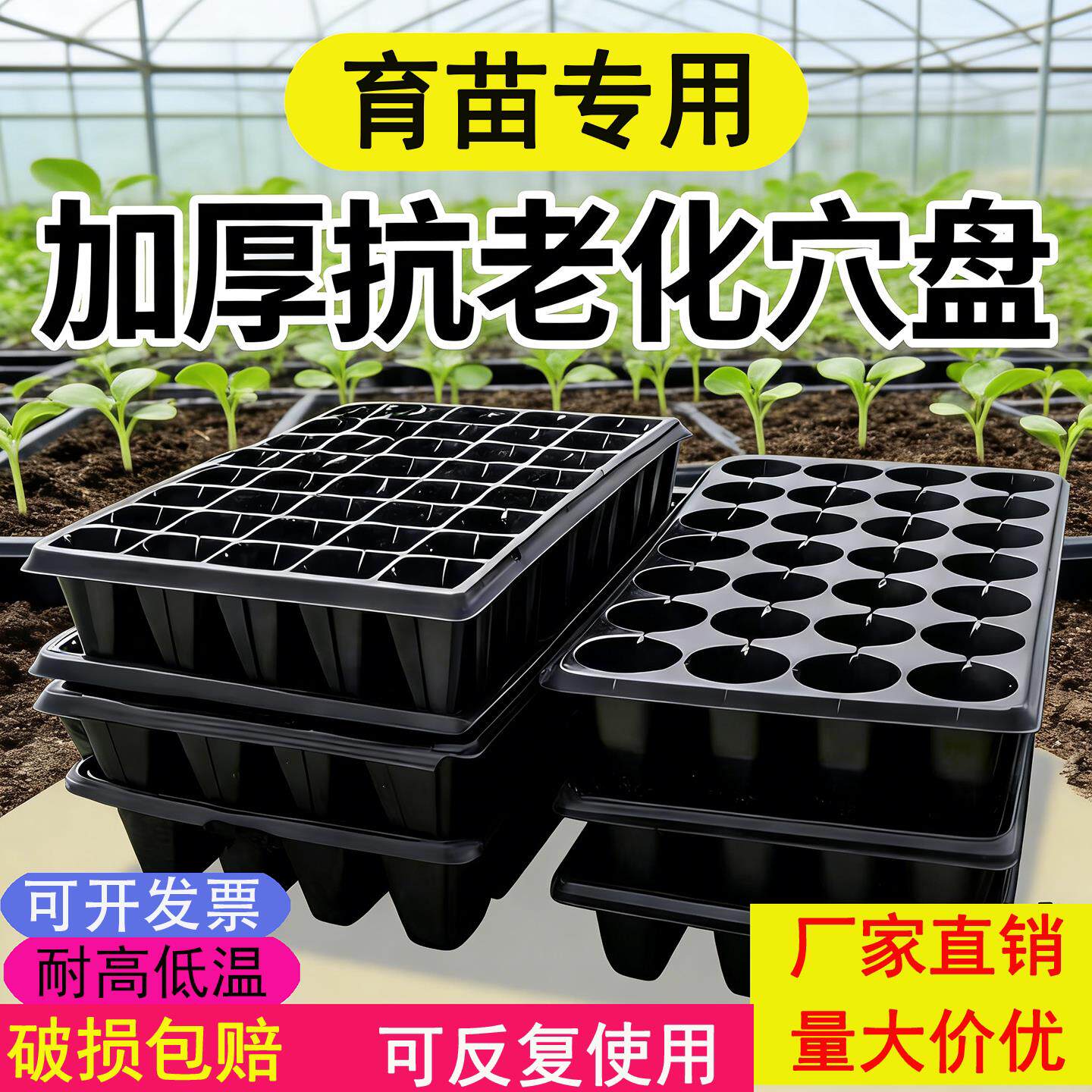 育苗盘穴盘育苗盒育苗盆蔬菜育苗盘塑料育苗器苗木多肉整箱