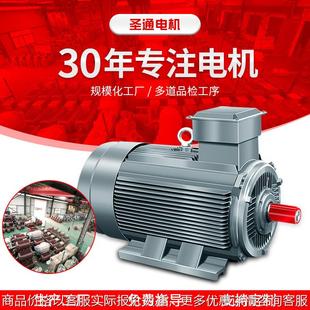 55M2 160KW全铜电机工业型水塔马达 电动机YE 三相异步立式