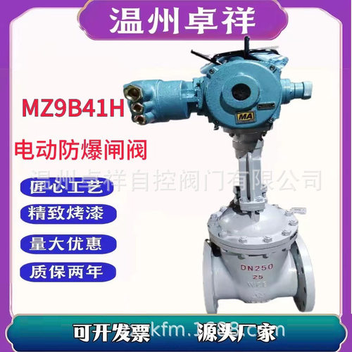 电动闸阀  水电站高温高压电动闸阀 Z941H-25C 铸钢 电动防爆闸阀