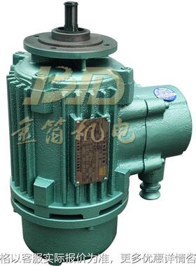 麟风 供应BZDY21-4 0.8kwD.1 双速电机 江苏 电动机