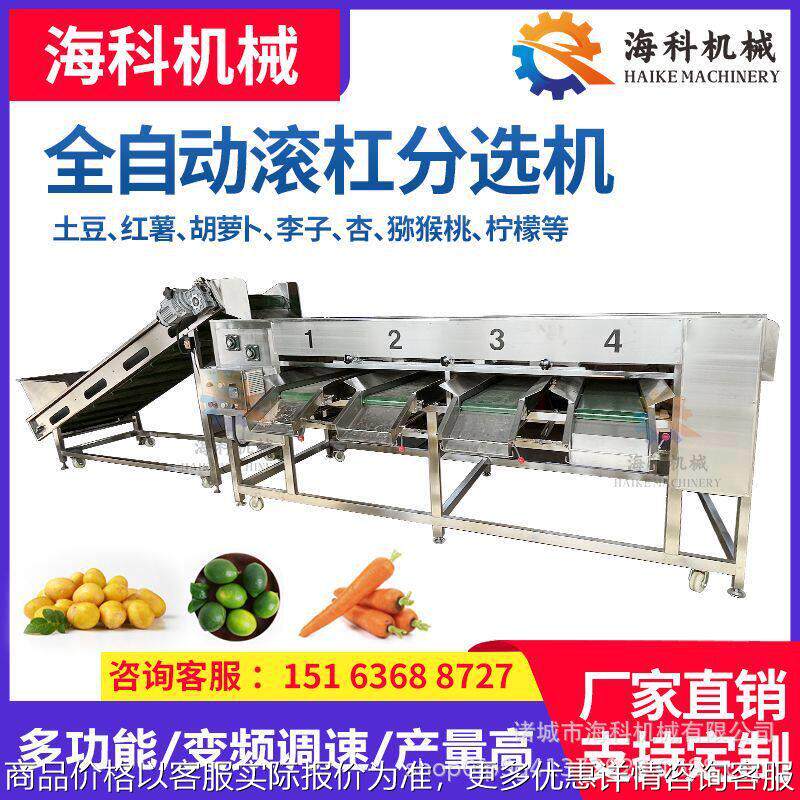 厂家定制滚杠选果机 土豆柑橘桂圆橄榄槟榔马蹄效选果机分拣机