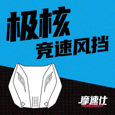 MSS摩速仕极核电动车前挡风玻璃AE4se AE4pro AE5i电自改装仪表挡