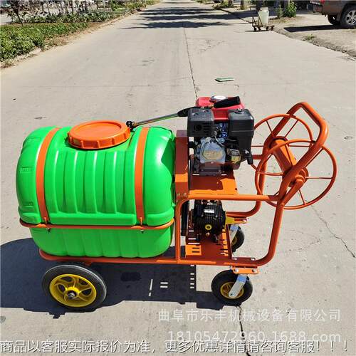 果树虫喷雾程器 汽油远LF-170杀手推式喷雾器 市政林园打药机