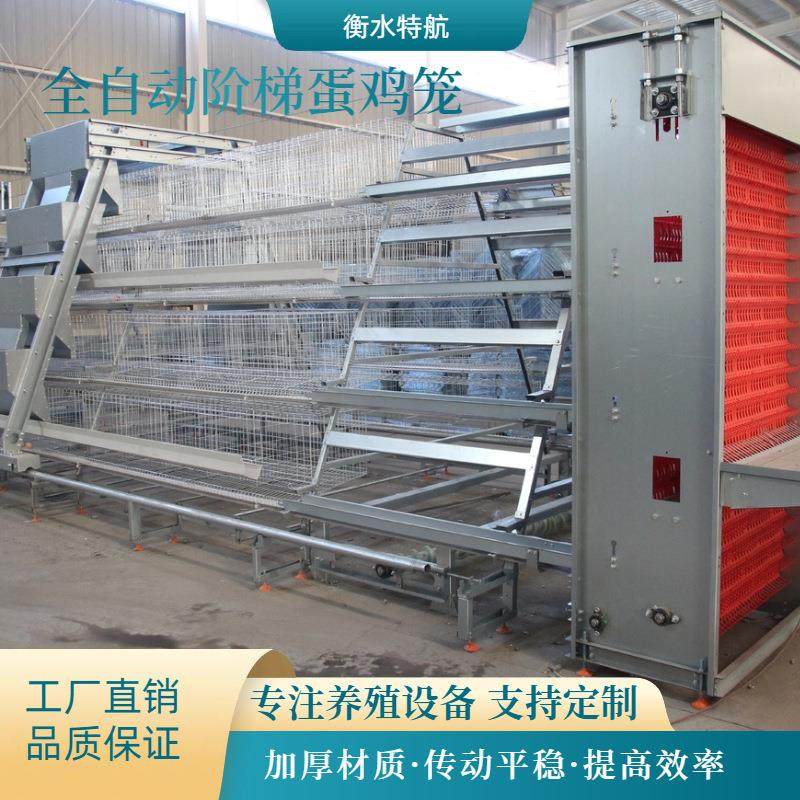 多层阶梯式全自动蛋鸡笼热镀锌笼养鸡设备鸡场养殖场自动化设备