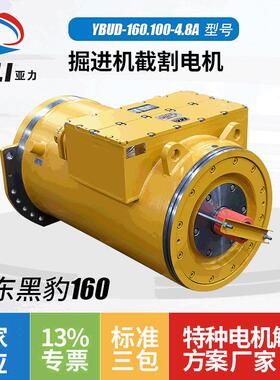 山东黑豹掘进机电机马达 YBUD-160.100-4.8A隔爆型三相异步电动机