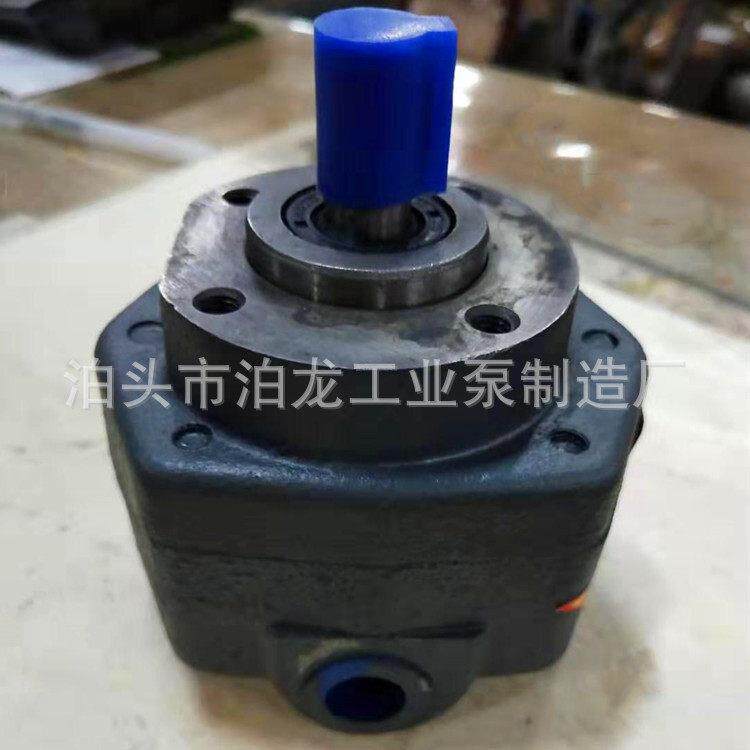 供应BB-B摆线油泵电动液压泵小型润滑油泵内啮合齿轮泵