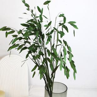 永生花小盼草干花花束真花天然高级感轻奢风ins客厅酒店民宿软装