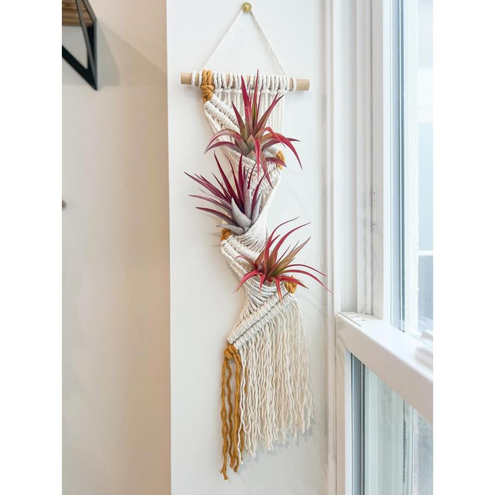 创意波西米亚挂毯空气凤梨植物装饰壁挂手工编织工艺品墙面背景